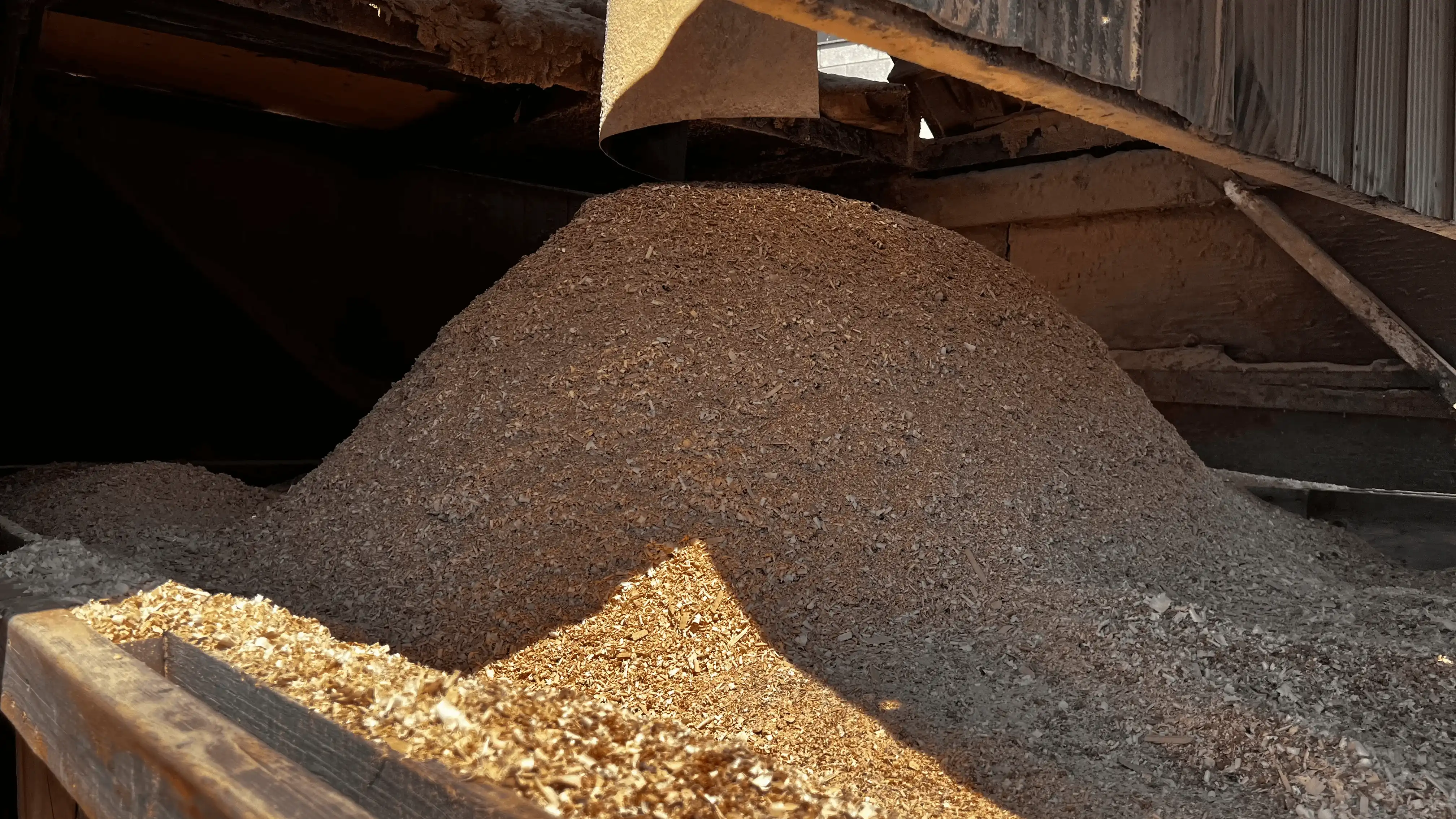 sawdust